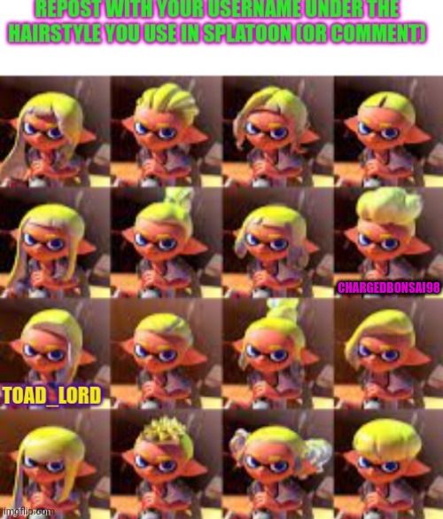 Best hairstyle | CHARGEDBONSAI98 | image tagged in repost,splatoon | made w/ Imgflip meme maker