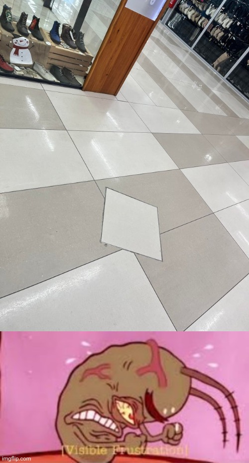 Floor design fail | image tagged in visible frustration,floors,floor,you had one job,memes,design fails | made w/ Imgflip meme maker