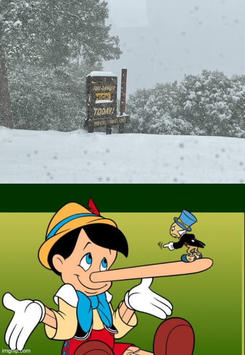Liar, fire danger isn't high | image tagged in liar,fire,snow,you had one job,memes,meme | made w/ Imgflip meme maker