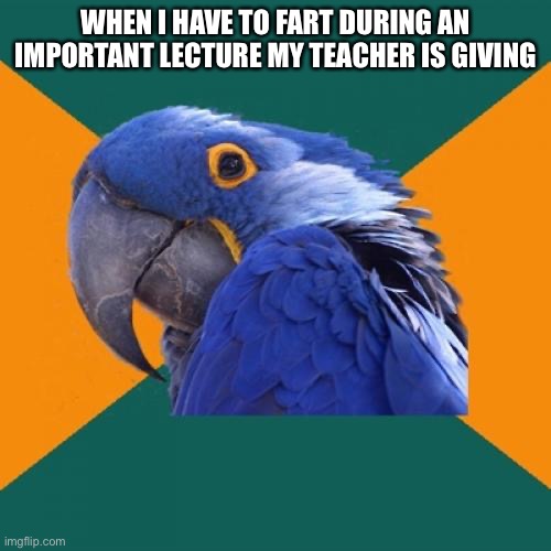 Paranoid Parrot | WHEN I HAVE TO FART DURING AN IMPORTANT LECTURE MY TEACHER IS GIVING | image tagged in memes,paranoid parrot | made w/ Imgflip meme maker