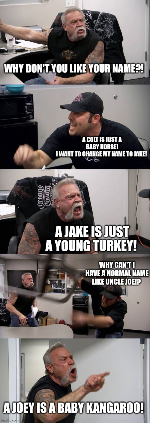 Real life is funnier than fiction | WHY DON'T YOU LIKE YOUR NAME?! A COLT IS JUST A BABY HORSE!
I WANT TO CHANGE MY NAME TO JAKE! A JAKE IS JUST A YOUNG TURKEY! WHY CAN'T I HAVE A NORMAL NAME LIKE UNCLE JOE!? A JOEY IS A BABY KANGAROO! | image tagged in memes,american chopper argument,family humor,true story,nephew | made w/ Imgflip meme maker