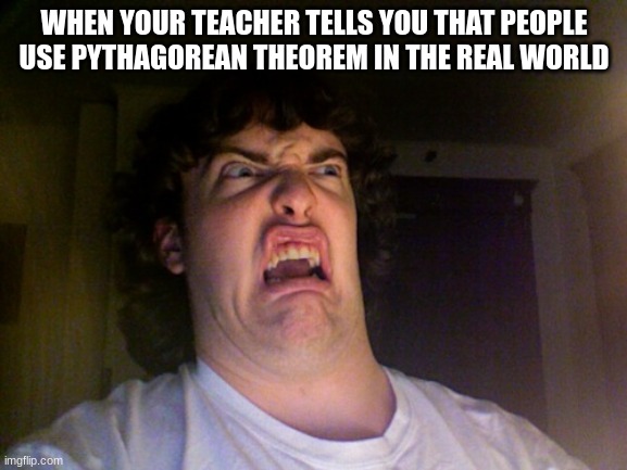 Pythagorean Theorem Who? | WHEN YOUR TEACHER TELLS YOU THAT PEOPLE USE PYTHAGOREAN THEOREM IN THE REAL WORLD | image tagged in memes,oh no | made w/ Imgflip meme maker
