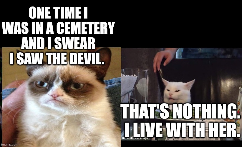 ONE TIME I WAS IN A CEMETERY AND I SWEAR I SAW THE DEVIL. THAT'S NOTHING.  I LIVE WITH HER. | image tagged in smudge the cat | made w/ Imgflip meme maker