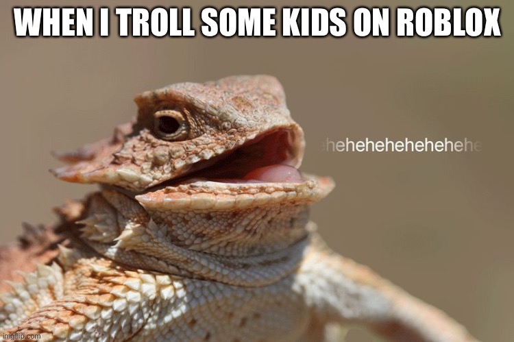 laughing lizard | WHEN I TROLL SOME KIDS ON ROBLOX | image tagged in laughing lizard | made w/ Imgflip meme maker