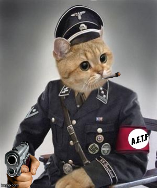 Grammar Nazi Cat | A.F.T.F | image tagged in grammar nazi cat | made w/ Imgflip meme maker