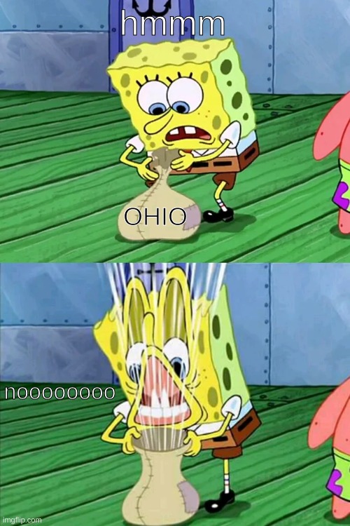OHIO be like | hmmm; OHIO; noooooooo | image tagged in spongebob opens the bag of winds | made w/ Imgflip meme maker