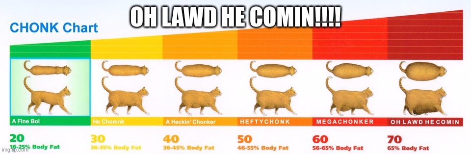 Chonk Chart | OH LAWD HE COMIN!!!! | image tagged in chonk chart | made w/ Imgflip meme maker