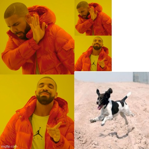 Drake Hotline Bling Meme | image tagged in memes,drake hotline bling | made w/ Imgflip meme maker