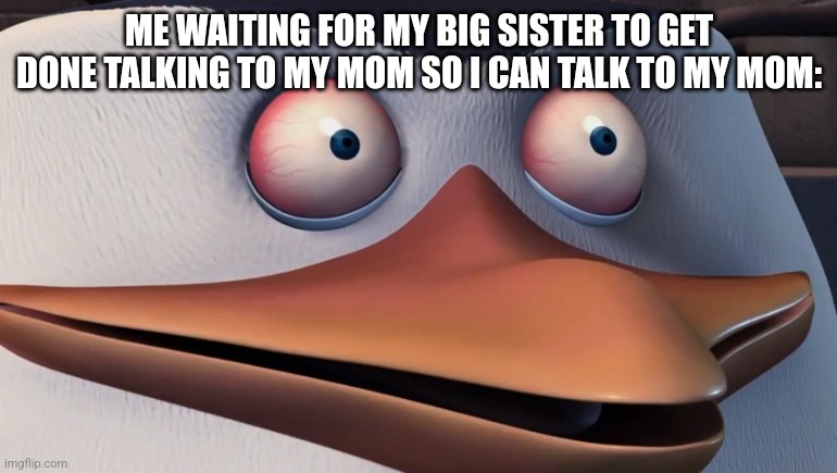 Anyone understand | ME WAITING FOR MY BIG SISTER TO GET DONE TALKING TO MY MOM SO I CAN TALK TO MY MOM: | image tagged in penguins of madagascar skipper red eyes,understand | made w/ Imgflip meme maker