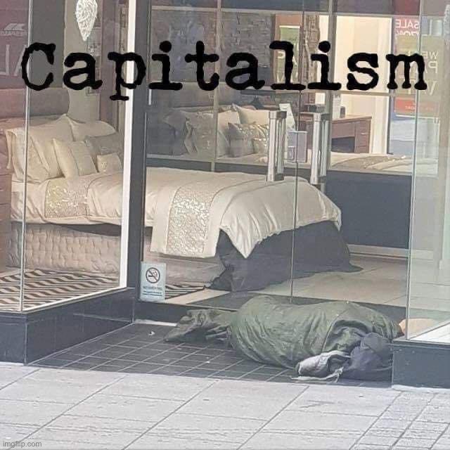 Capitalism in a nutshell | image tagged in capitalism in a nutshell | made w/ Imgflip meme maker