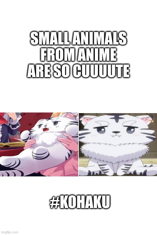in another world with my smartphone, thank you for making this adorable tiger | SMALL ANIMALS FROM ANIME ARE SO CUUUUTE; #KOHAKU | made w/ Imgflip meme maker
