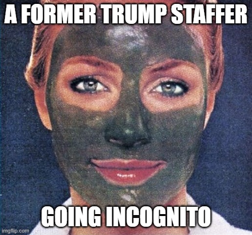 Masked Trump Staffer | A FORMER TRUMP STAFFER; GOING INCOGNITO | image tagged in mudpack lady,donald trump employee,masked and anonymous | made w/ Imgflip meme maker