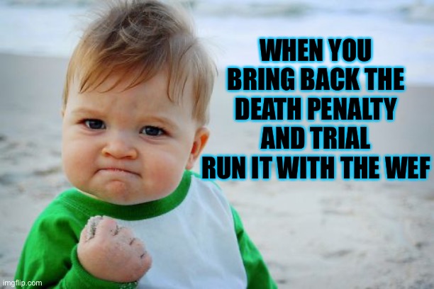 Success | WHEN YOU BRING BACK THE DEATH PENALTY AND TRIAL RUN IT WITH THE WEF | image tagged in memes,success kid original | made w/ Imgflip meme maker