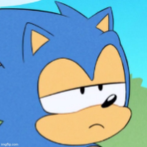 bruh sonic | image tagged in bruh sonic | made w/ Imgflip meme maker