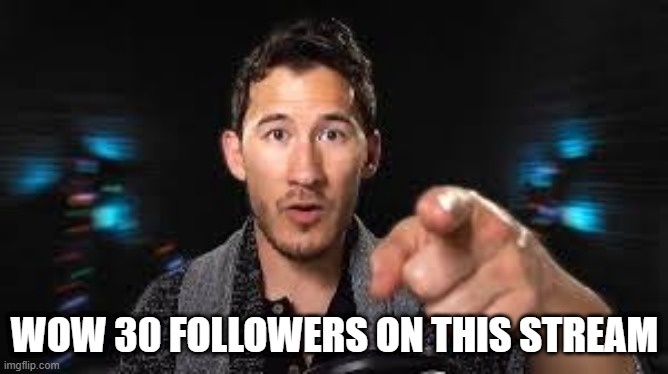 THANKS | WOW 30 FOLLOWERS ON THIS STREAM | image tagged in markiplier pointing | made w/ Imgflip meme maker