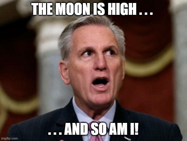Kevin McCarthy Looking Like He's On Peyote | THE MOON IS HIGH . . . . . . AND SO AM I! | image tagged in big mouth kevin mccarthy,halluinogenics | made w/ Imgflip meme maker