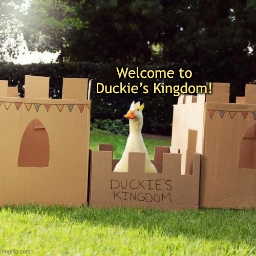 Welcome to Duckie’s Kingdom! |  Welcome to Duckie’s Kingdom! | image tagged in ducks,memes,funny,quack,duck,fun | made w/ Imgflip meme maker