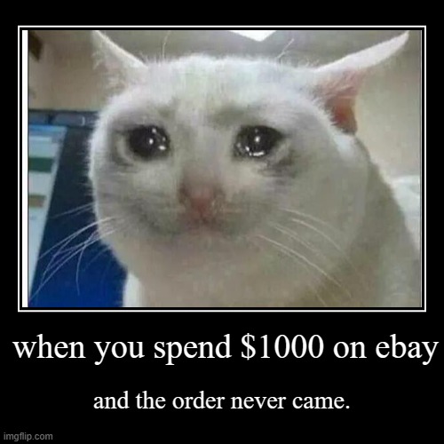 sad cat | image tagged in funny,demotivationals | made w/ Imgflip demotivational maker