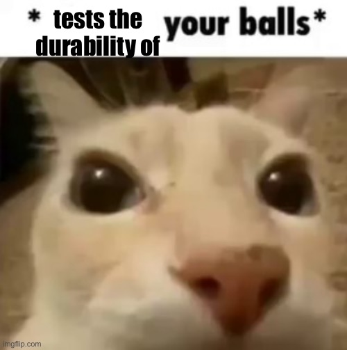 X your balls | tests the durability of | image tagged in x your balls | made w/ Imgflip meme maker