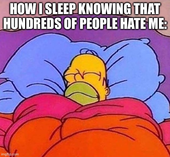 And that im unfunny | HOW I SLEEP KNOWING THAT HUNDREDS OF PEOPLE HATE ME: | image tagged in homer simpson sleeping peacefully | made w/ Imgflip meme maker