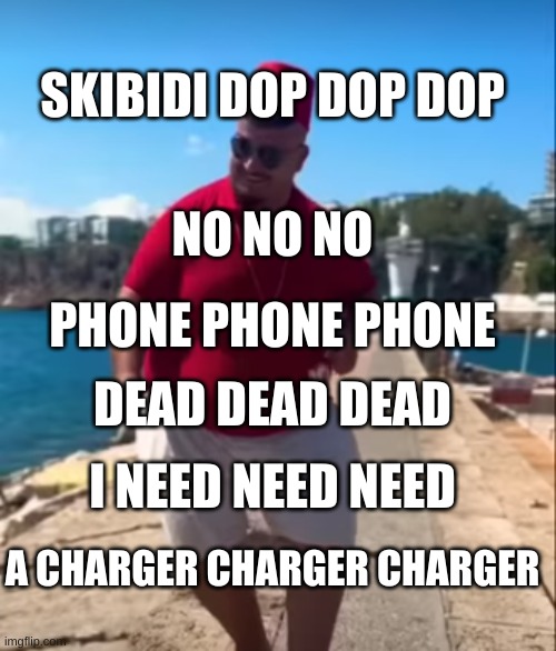 POV my phone dies | SKIBIDI DOP DOP DOP; NO NO NO; PHONE PHONE PHONE; DEAD DEAD DEAD; I NEED NEED NEED; A CHARGER CHARGER CHARGER | image tagged in memes | made w/ Imgflip meme maker