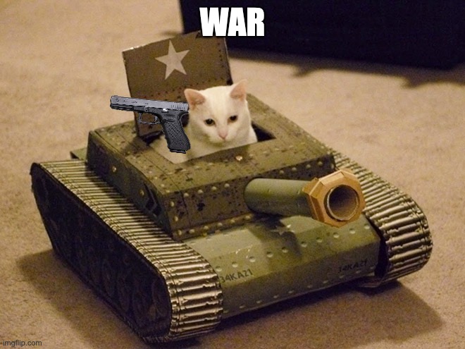 cat TONK | WAR | image tagged in cat tonk | made w/ Imgflip meme maker