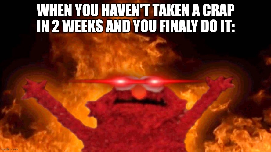 finally | WHEN YOU HAVEN'T TAKEN A CRAP IN 2 WEEKS AND YOU FINALY DO IT: | image tagged in elmo fire | made w/ Imgflip meme maker