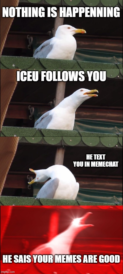 #iceu is cool | NOTHING IS HAPPENNING; ICEU FOLLOWS YOU; HE TEXT YOU IN MEMECHAT; HE SAIS YOUR MEMES ARE GOOD | image tagged in memes,inhaling seagull | made w/ Imgflip meme maker