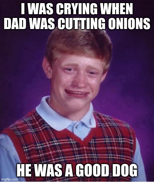 Bad Luck Brian Cry | I WAS CRYING WHEN DAD WAS CUTTING ONIONS; HE WAS A GOOD DOG | image tagged in bad luck brian cry | made w/ Imgflip meme maker