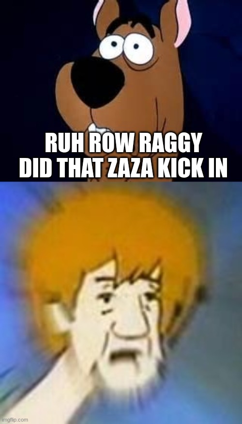 scooby drug doo | RUH ROW RAGGY DID THAT ZAZA KICK IN | image tagged in scooby doo surprised,shaggy dank meme | made w/ Imgflip meme maker