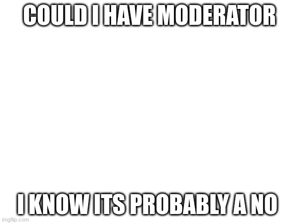 but a yes would be very nice of yall | COULD I HAVE MODERATOR; I KNOW ITS PROBABLY A NO | made w/ Imgflip meme maker