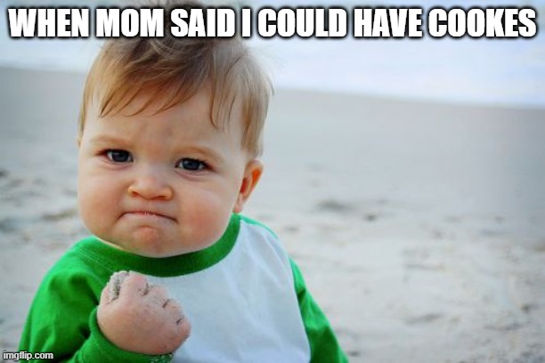 bffr | WHEN MOM SAID I COULD HAVE COOKES | image tagged in memes,success kid original | made w/ Imgflip meme maker
