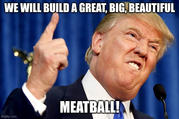 Donald Trump | WE WILL BUILD A GREAT, BIG, BEAUTIFUL MEATBALL! | image tagged in donald trump | made w/ Imgflip meme maker