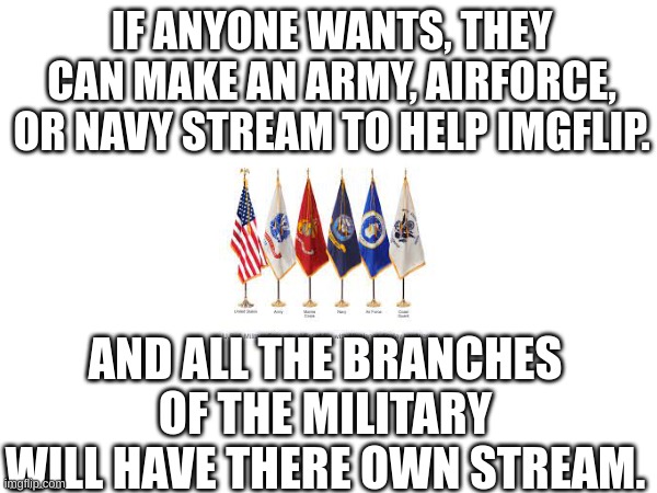 Tell me if you make a stream of a branch. | IF ANYONE WANTS, THEY CAN MAKE AN ARMY, AIRFORCE, OR NAVY STREAM TO HELP IMGFLIP. AND ALL THE BRANCHES OF THE MILITARY WILL HAVE THERE OWN STREAM. | image tagged in memes | made w/ Imgflip meme maker
