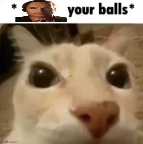X your balls | image tagged in x your balls,bruh,lol,why are you reading this | made w/ Imgflip meme maker