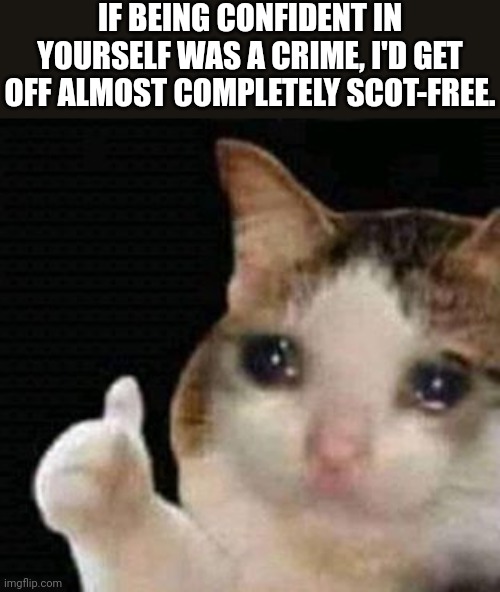Oof |  IF BEING CONFIDENT IN YOURSELF WAS A CRIME, I'D GET OFF ALMOST COMPLETELY SCOT-FREE. | image tagged in sad thumbs up cat,memes,fun,confidence,oof,true story | made w/ Imgflip meme maker