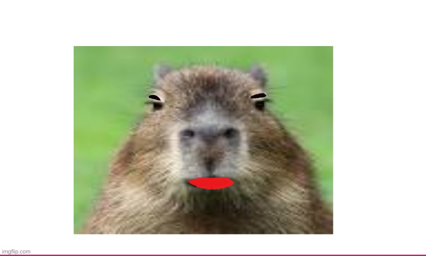 Lipstick Capybara | image tagged in lipstick capybara | made w/ Imgflip meme maker
