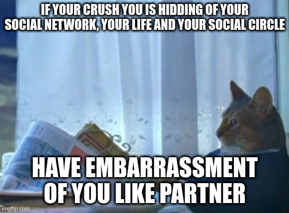 my crush have embarrassment of me | IF YOUR CRUSH YOU IS HIDDING OF YOUR SOCIAL NETWORK, YOUR LIFE AND YOUR SOCIAL CIRCLE; HAVE EMBARRASSMENT OF YOU LIKE PARTNER | image tagged in memes,i should buy a boat cat | made w/ Imgflip meme maker