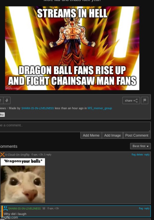 Dragoning | image tagged in dbz | made w/ Imgflip meme maker