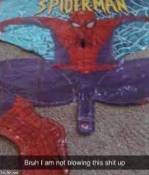spiderman | image tagged in bruh,lol,why are you reading this | made w/ Imgflip meme maker
