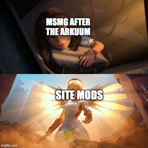 Overwatch Mercy Meme | MSMG AFTER THE ARKUUM; SITE MODS | image tagged in overwatch mercy meme | made w/ Imgflip meme maker