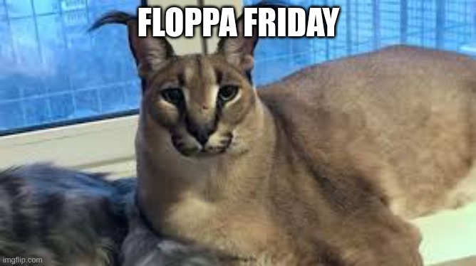 Floppa | FLOPPA FRIDAY | image tagged in floppa | made w/ Imgflip meme maker