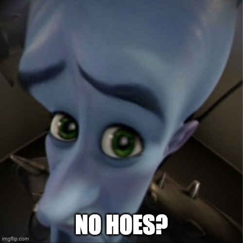 no hoes?????? |  NO HOES? | image tagged in megamind peeking,answer | made w/ Imgflip meme maker