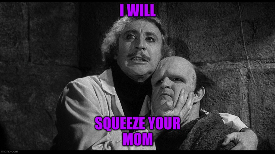Young Frankenstein | I WILL; SQUEEZE YOUR
MOM | image tagged in young frankenstein | made w/ Imgflip meme maker
