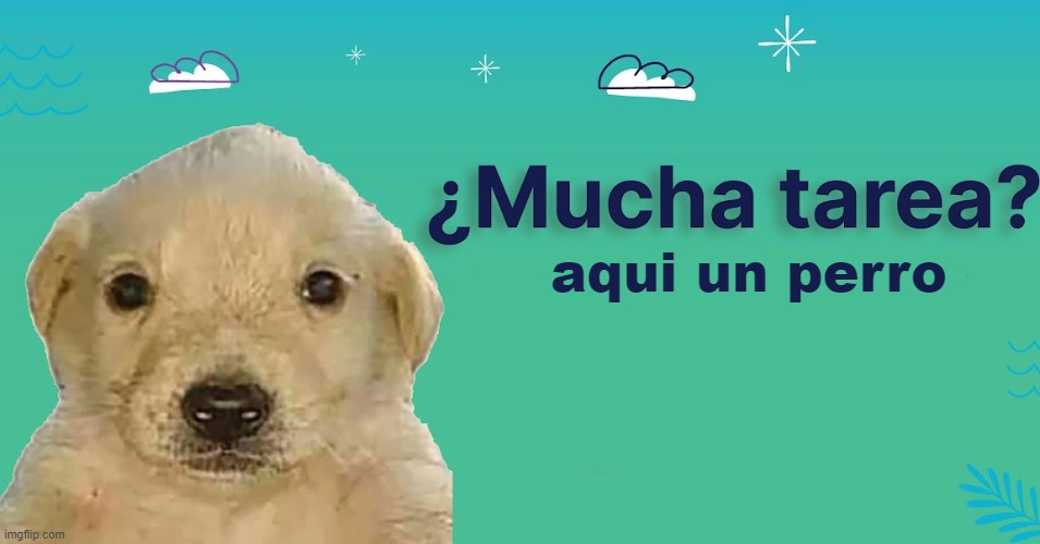 aqui un perro | made w/ Imgflip meme maker