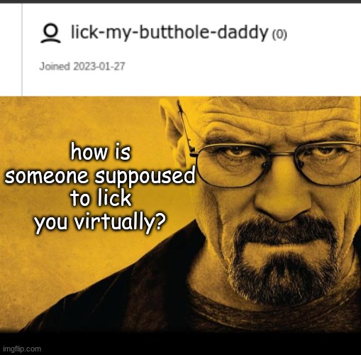 Gayest blue alt | how is someone suppoused to lick you virtually? | image tagged in breaking bad | made w/ Imgflip meme maker