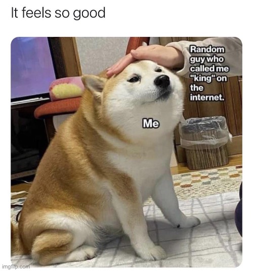 image tagged in doge,repost,memes,funny,wholesome,wholesome content | made w/ Imgflip meme maker