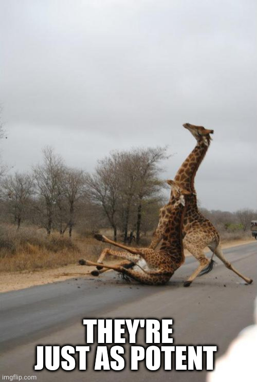 Falling Giraffe | THEY'RE JUST AS POTENT | image tagged in falling giraffe | made w/ Imgflip meme maker