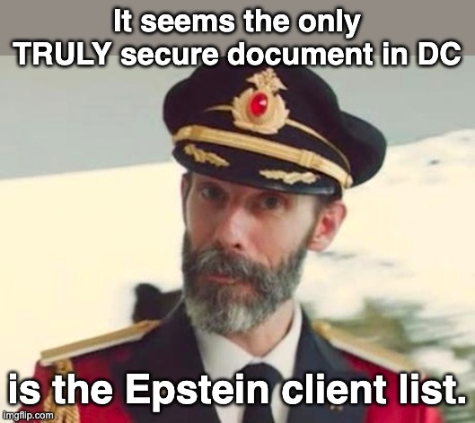 Can't argue with that... | It seems the only TRULY secure document in DC; is the Epstein client list. | image tagged in obviously,captain obvious,epstein | made w/ Imgflip meme maker