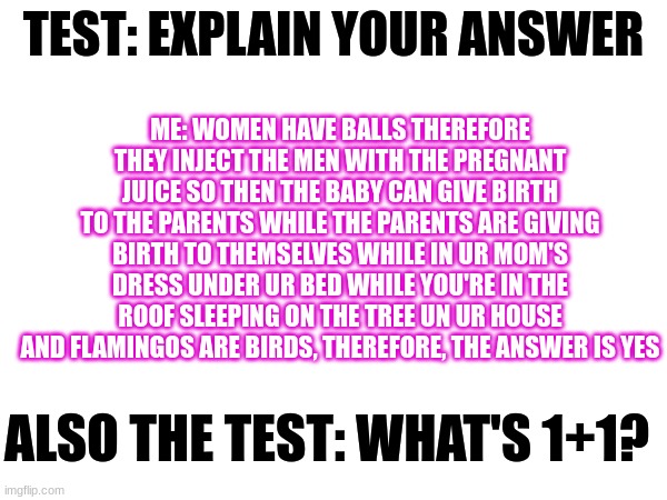 this was randomly gong through my head so....yeah | ME: WOMEN HAVE BALLS THEREFORE THEY INJECT THE MEN WITH THE PREGNANT JUICE SO THEN THE BABY CAN GIVE BIRTH TO THE PARENTS WHILE THE PARENTS ARE GIVING BIRTH TO THEMSELVES WHILE IN UR MOM'S DRESS UNDER UR BED WHILE YOU'RE IN THE ROOF SLEEPING ON THE TREE UN UR HOUSE AND FLAMINGOS ARE BIRDS, THEREFORE, THE ANSWER IS YES; TEST: EXPLAIN YOUR ANSWER; ALSO THE TEST: WHAT'S 1+1? | image tagged in i dont know | made w/ Imgflip meme maker